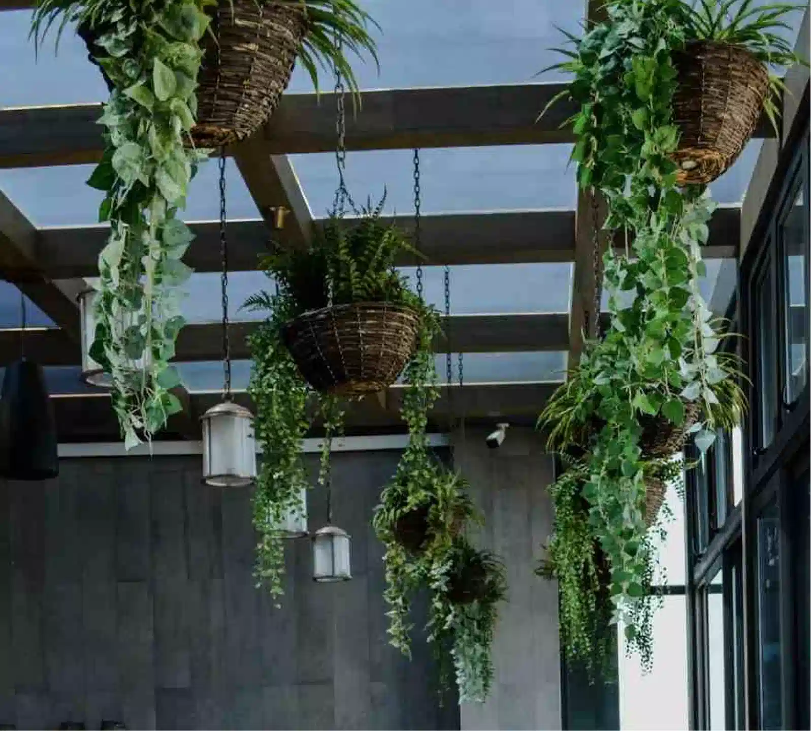 Growing Something New